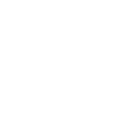feature_icon
