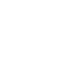 feature_icon